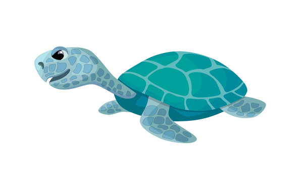 cute turtle, isolated cartoon image, vector illustration