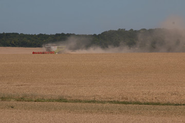 Fototapeta na wymiar moissonneuse dans champ de blé