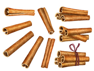 Cinnamon sticks isolated on white background, top view