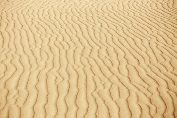 Lines in the sand of a beach, close up