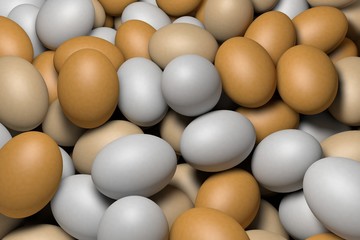 eggs