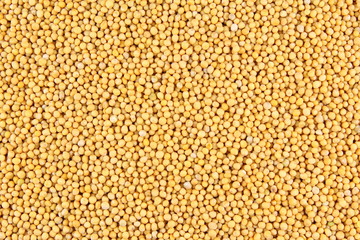 white mustard seeds closeup food background texture