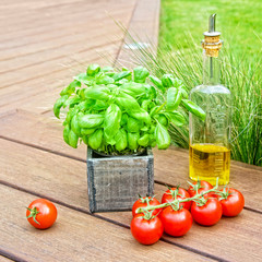 Basil, olive oil and tomatoes, summer italian and mediterranean food concept