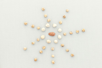 the figure in the form of a circle with radiating rays made of different nuts