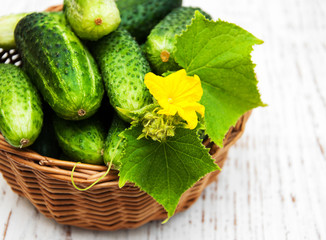 Fresh cucumbers