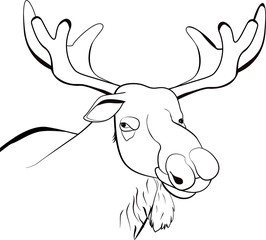 Moose or Eurasian elk line illustration