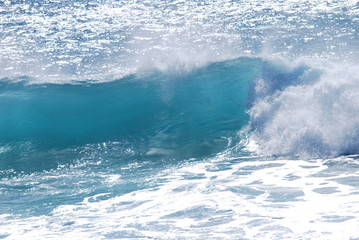 Fototapeta na wymiar hawaiianische Welle 2