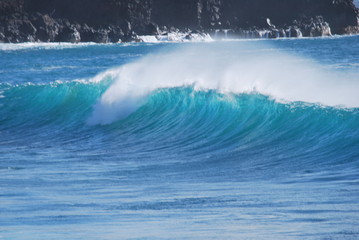 Fototapeta premium hawaiianische Welle 5