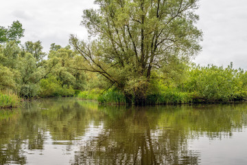 Fototapeta na wymiar Overview photograph of a large Dutch wetland nature reserve