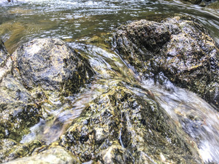 Waterfall with Scabies in Rainforest Area