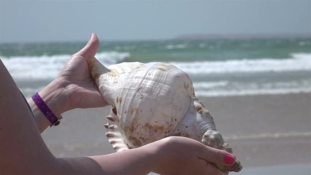 High quality video of hands holding shell by the ocean in real 1080p slow motion 250fps