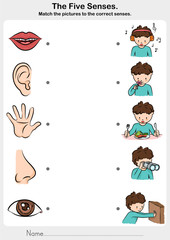 five senses - touch, taste, hearing, sight, smell.  - worksheet for education