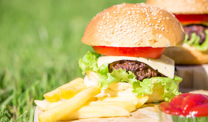 Beef burger with cheese and vegetables on grass