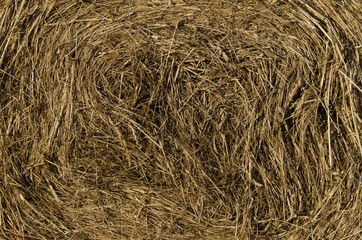 Straw round bale background texture