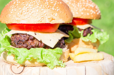 Beef burger with cheese and vegetables on grass