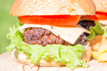 Beef burger with cheese and vegetables on grass
