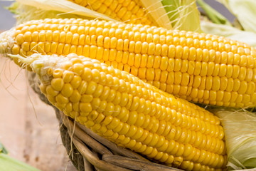 Fresh corn on rustic wooden table, closeup