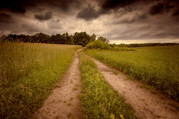 Fototapeta na wymiar Stormy field landscape with wheat or grass field.