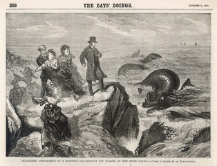 Irish sea serpent off Kilkee  Ireland. Date: 1871