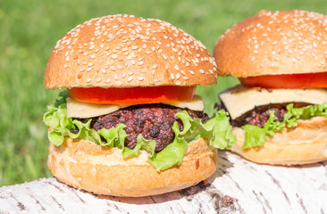 Beef burger with cheese and vegetables on grass