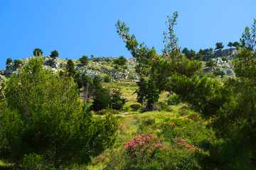 Dalmatic Coast in Croatia, Europe