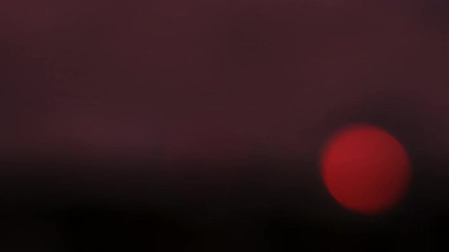 Beautiful Flashing Lights on a Dark Background