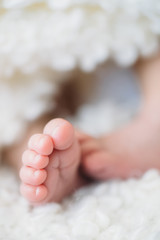newborn Feet. Children concept