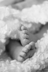 newborn Feet. Children concept
