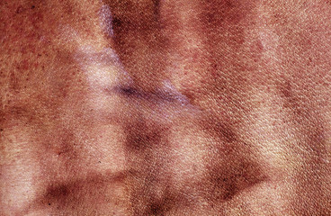 Fototapeta premium Weathered red color leasther surface.