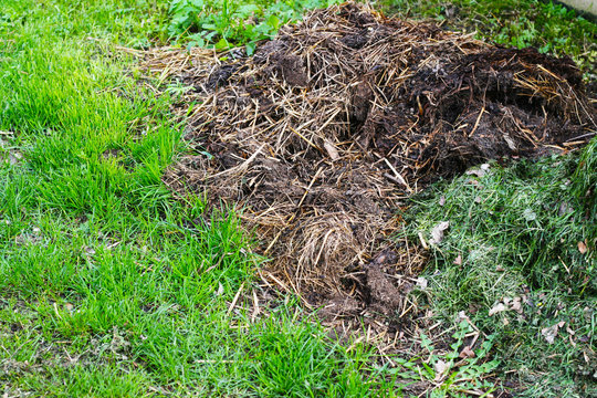 Misthaufen - frischer Mist lagern und f&uuml;r den Garten zur D&uuml;ngung nutzen. Im Garten d&uuml;ngen und reich ernten.