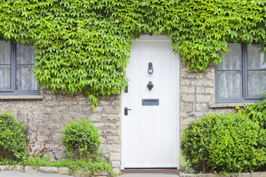 White wooden doors in an old traditional English stone cottage surrounded by climbing green vine plant .