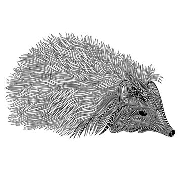 Silhouette of a vector hedgehog of beautiful patterns