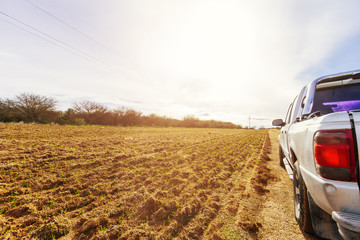 Pick up truck from behind with field planted with oats