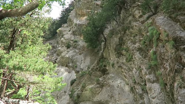 hiking through the Samaria Gorge at Crete (Greece)