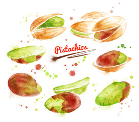 Watercolor illustration of pistachios nuts