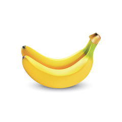 Banana realistic isolated, Fresh fruit Vector illustration. Realistic illustration