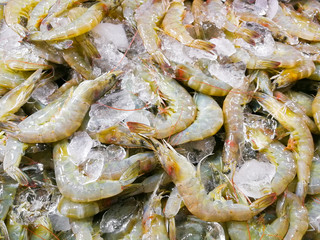 Shrimp  on ice for sale .