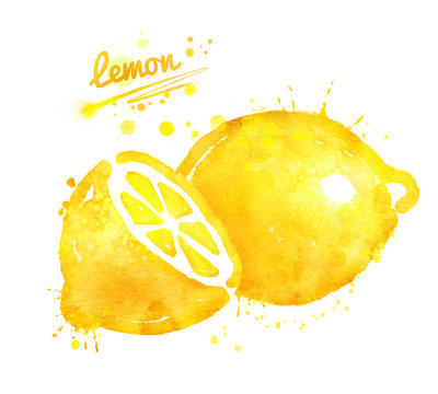 Hand Drawn Watercolor Illustration Of Lemon