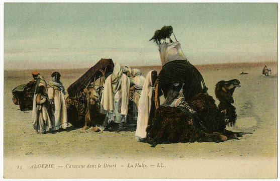 Algeria - Camel Transport. Date: 1903