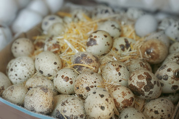 Fototapeta na wymiar Box with quail eggs, closeup