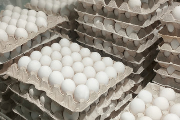 Trays with chicken eggs on storage