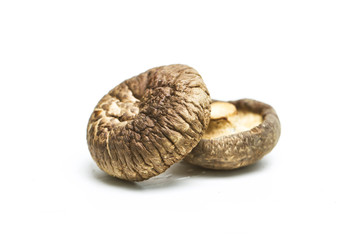 Dry Mushrooms isolated on white background.