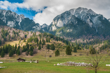 Fototapeta na wymiar Piatra Craiului Mountains, Romania