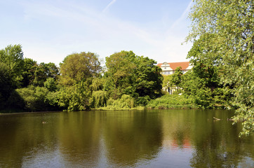 Fototapeta na wymiar View over a rural pond