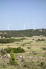 Around the village of Pina de Montalgrao in Castellon