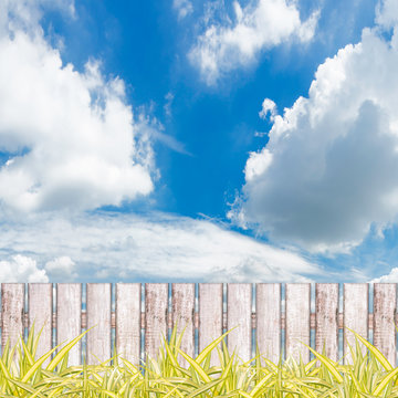 Green grass with fence against blue sky background.