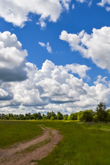 Fototapeta na wymiar Country road through the field. Sky with clouds. Vertical view