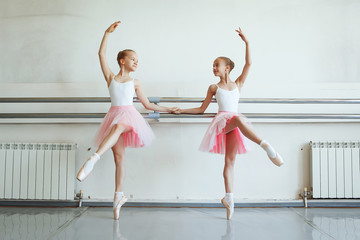 Cute little ballerinas in pink ballet costume and pointe shoes is dancing in the room. Kid in dance...