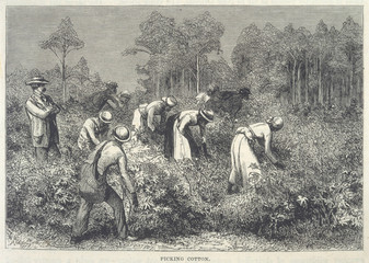 Industry - Textiles - Cotton. Date: 1875 - obrazy, fototapety, plakaty
