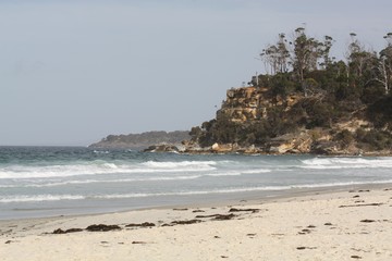 Fototapeta na wymiar Tasmanischer Strand